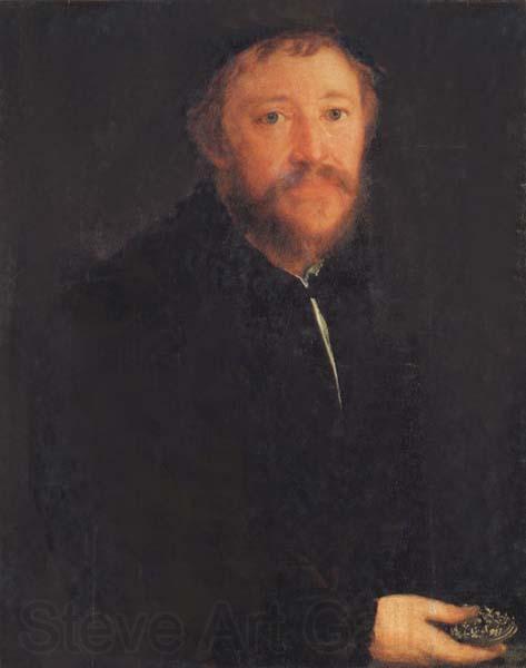 AMBERGER, Christoph Portrait of Cornelius Gros Spain oil painting art